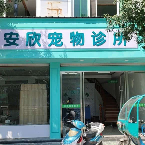 安欣宠物诊所:丽水市云和县