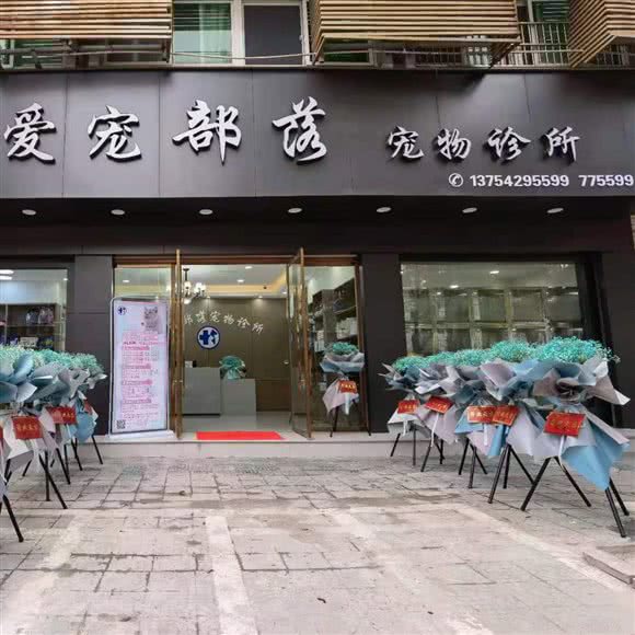 爱宠部落(同心花园店):丽水市云和县