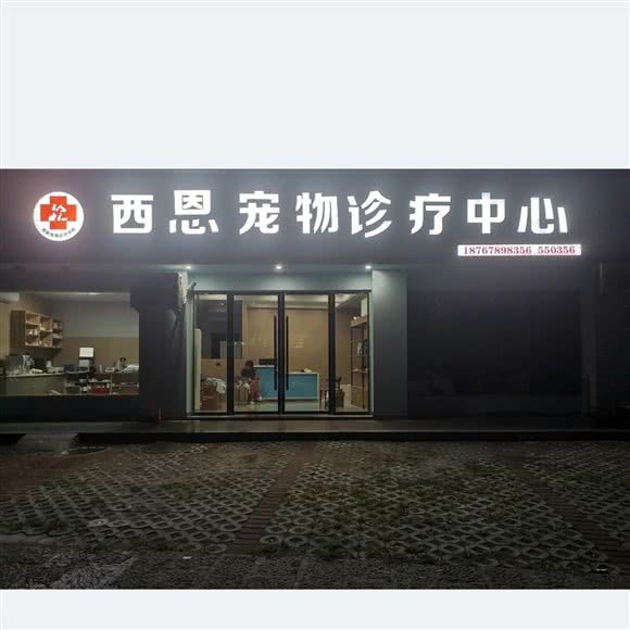 西恩宠物诊疗中心:丽水市龙泉市