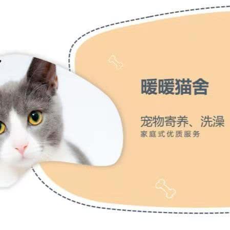 暖暖猫咪宠物工作室(东坝旗舰店):北京城区朝阳区东坝附近