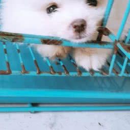 宠它吧(和平广场店):合肥市瑶海区