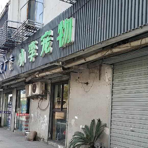 小李宠物狗会所:合肥市瑶海区