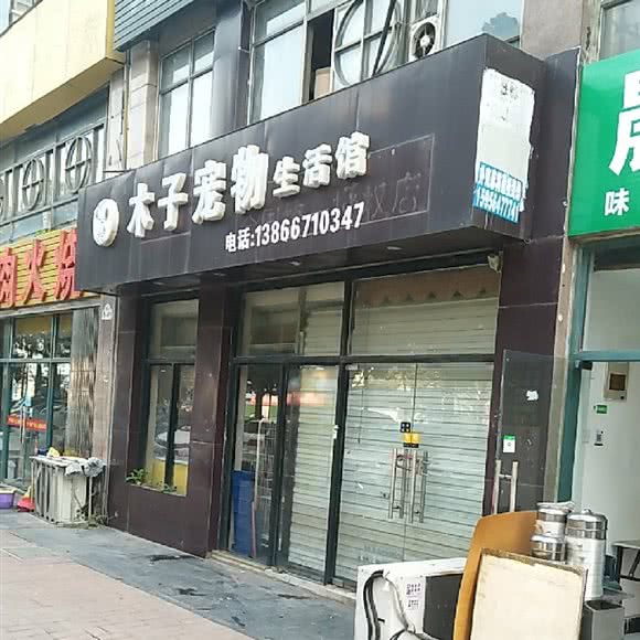 木子狗狗生活馆:合肥市瑶海区