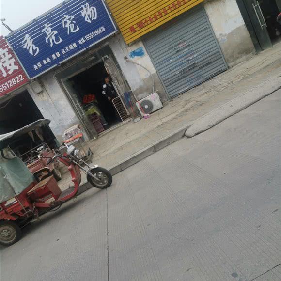 秀亮宠物:合肥市瑶海区