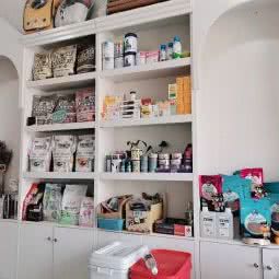 可乐宠物:合肥市庐阳区