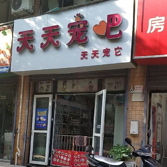 天天宠吧:合肥市庐阳区