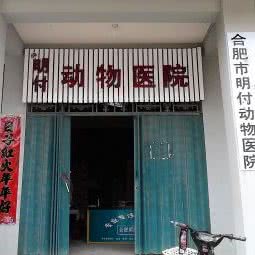 明付宠物医院:合肥市庐阳区