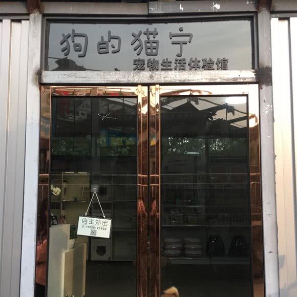 狗的猫宁:合肥市蜀山区
