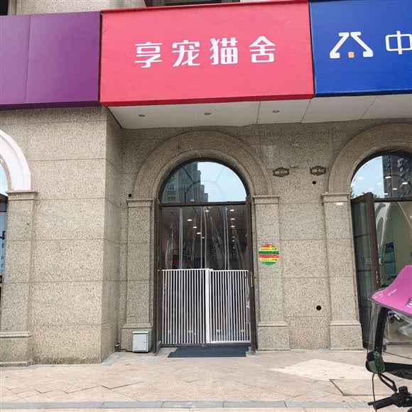享宠猫舍宠物店:合肥市包河区
