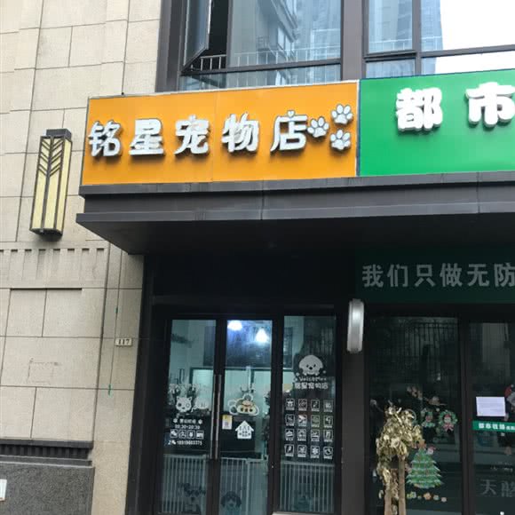 铭星宠物店:合肥市包河区