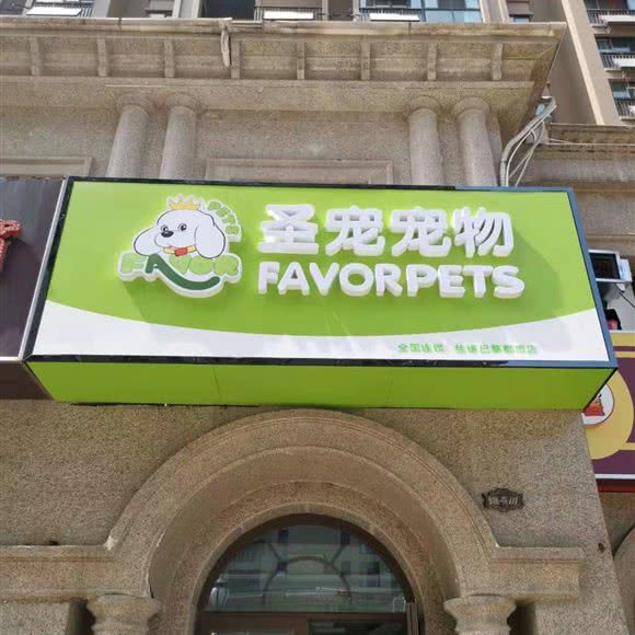 圣宠宠物(合肥佳缘巴黎都市店):合肥市包河区