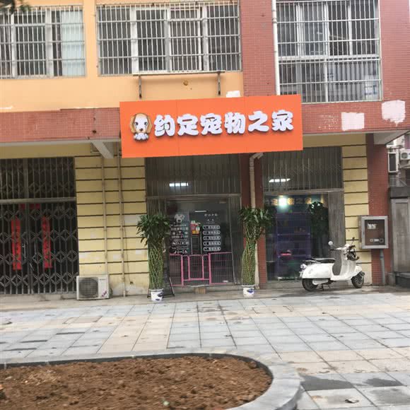 约定宠物之家:合肥市包河区