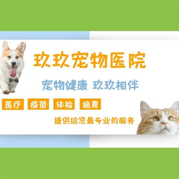 玖玖宠物医院:合肥市包河区