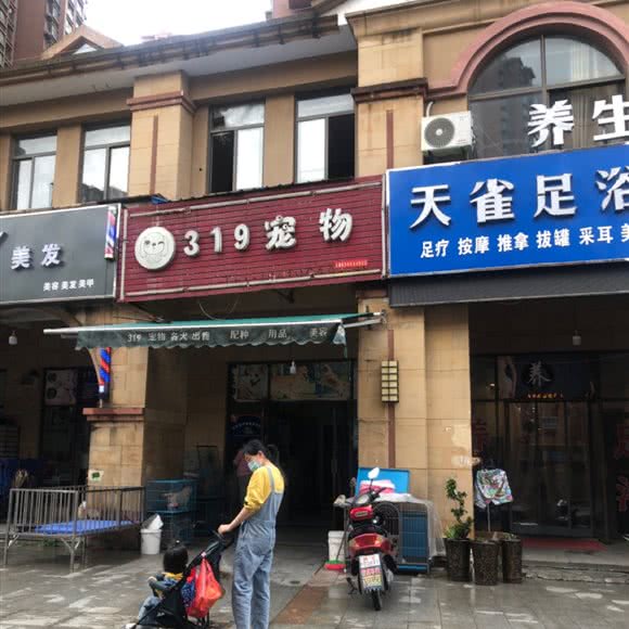 319宠物:合肥市长丰县