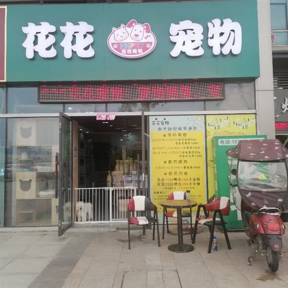 花花宠物店:合肥市肥东县