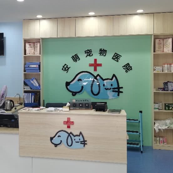 安萌宠物医院:合肥市肥东县