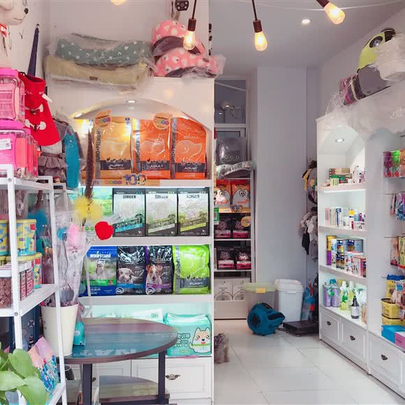 小小香宠:合肥市肥西县