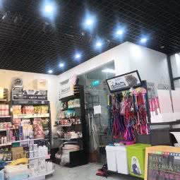 宠乐康宠物诊所:合肥市肥西县