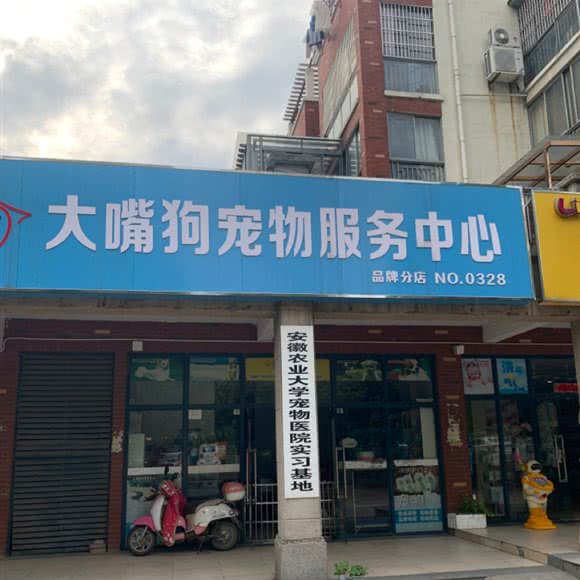 安徽农业大学宠物医院实习基地(NO.0328):合肥市肥西县