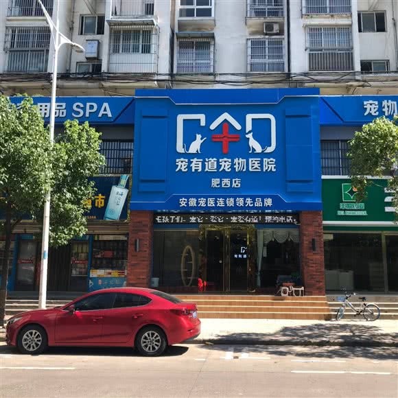 宠有道宠物医院(肥西店):合肥市肥西县