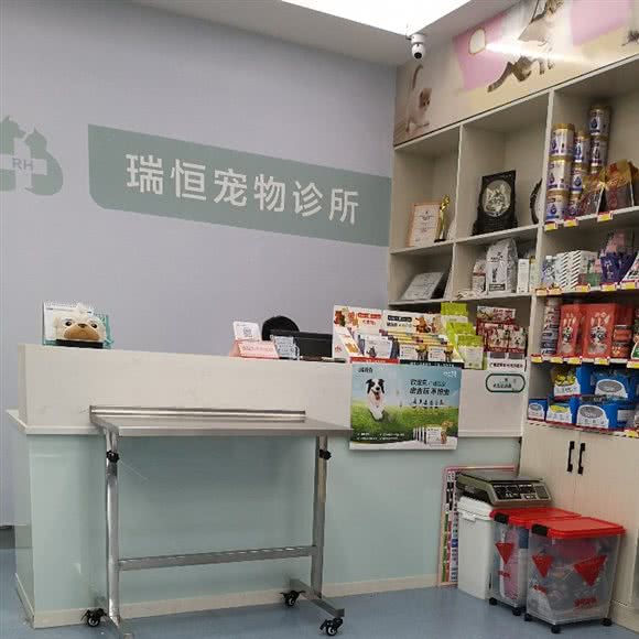 瑞恒宠物诊所:合肥市庐江县