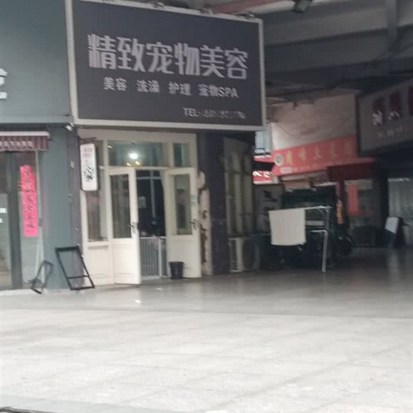 精致宠物美容:合肥市巢湖市