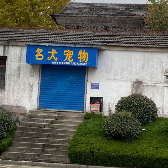 萌星宠物狗:合肥市巢湖市