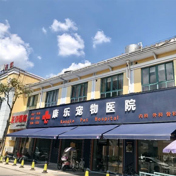 康乐宠物医院(巢湖店):合肥市巢湖市