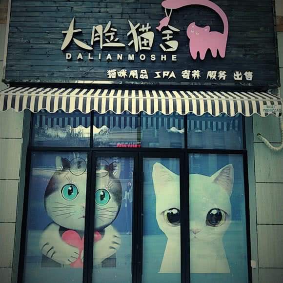 大脸猫舍:芜湖市镜湖区
