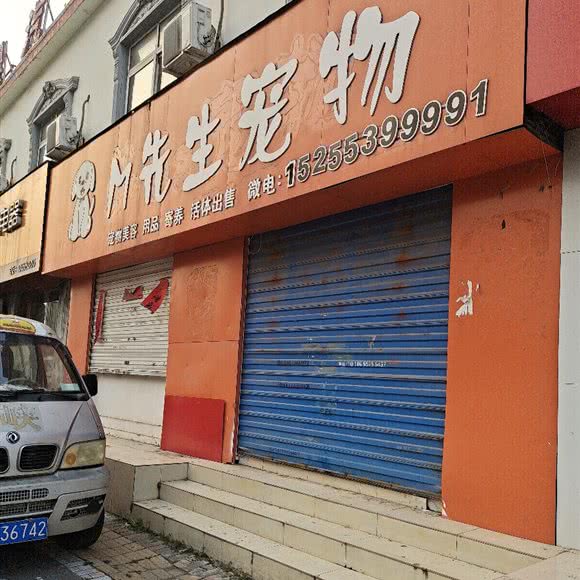 M先生宠物:蚌埠市龙子湖区