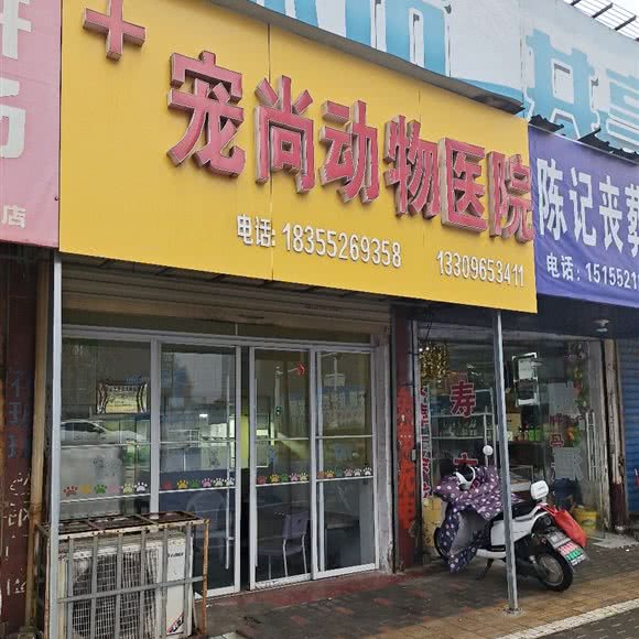 宠尚动物医院:蚌埠市龙子湖区