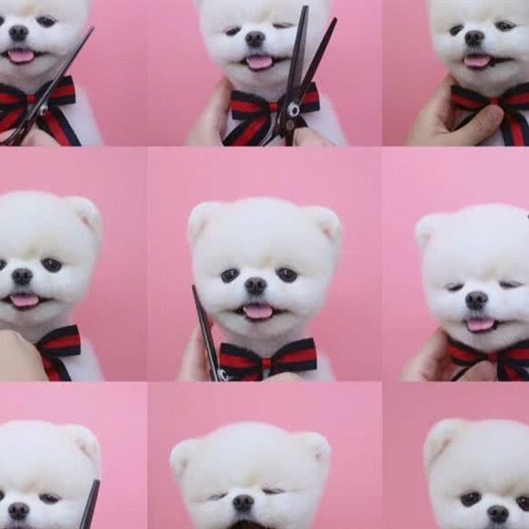 Hello酷狗:运城市盐湖区禹香苑附近