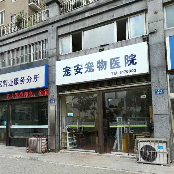 宠安宠物医院:蚌埠市淮上区