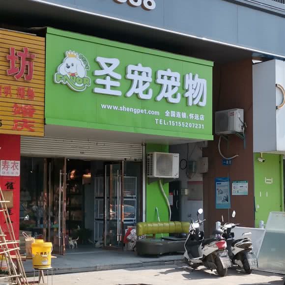 圣宠宠物(怀远店):蚌埠市怀远县