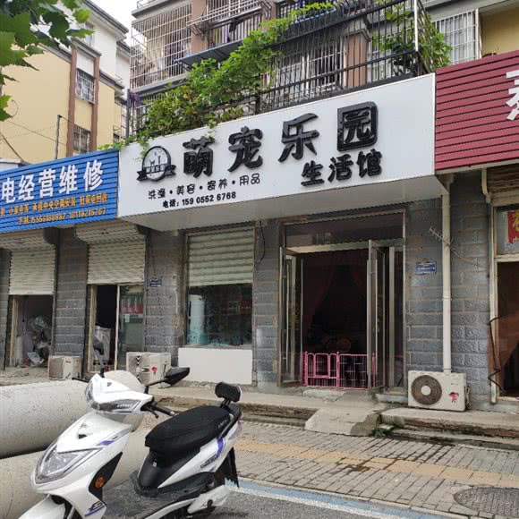 萌宠乐园生活馆:蚌埠市怀远县