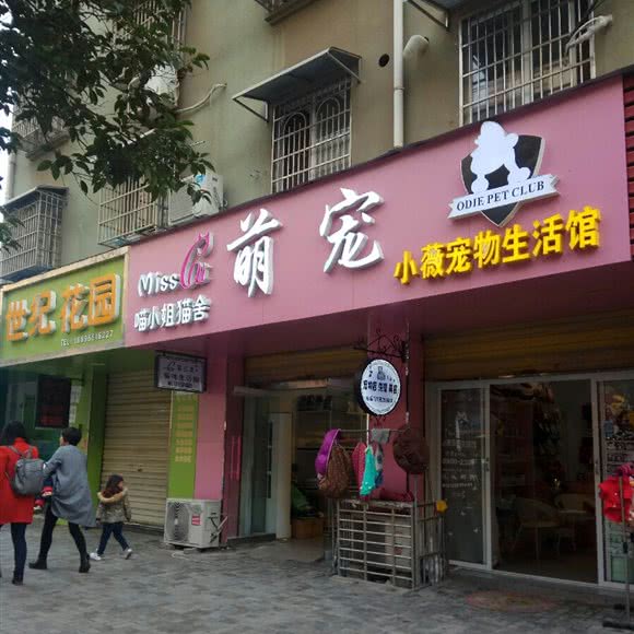 萌宠小薇宠物生活馆:蚌埠市怀远县