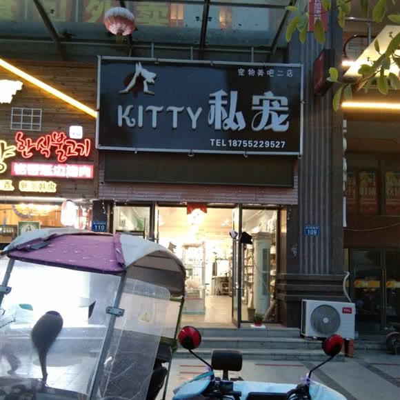 kitty私宠宠物美吧(二店):蚌埠市怀远县