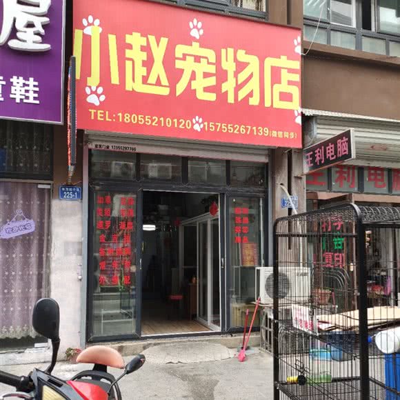 小赵宠物店:蚌埠市怀远县