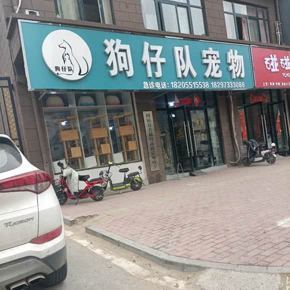 狗仔队宠物:蚌埠市固镇县
