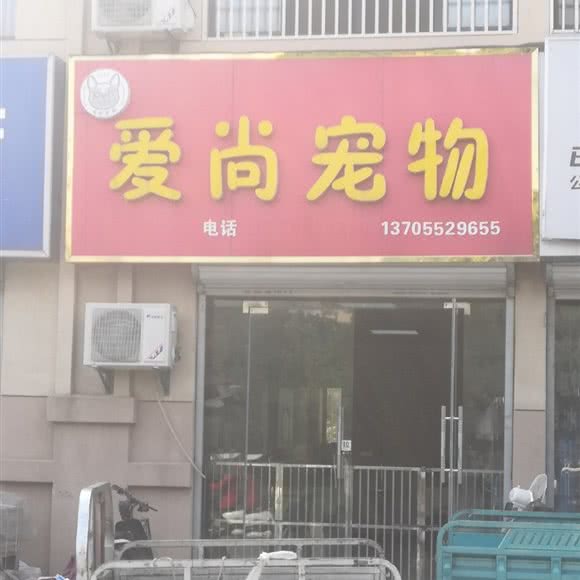 爱尚宠物:蚌埠市固镇县