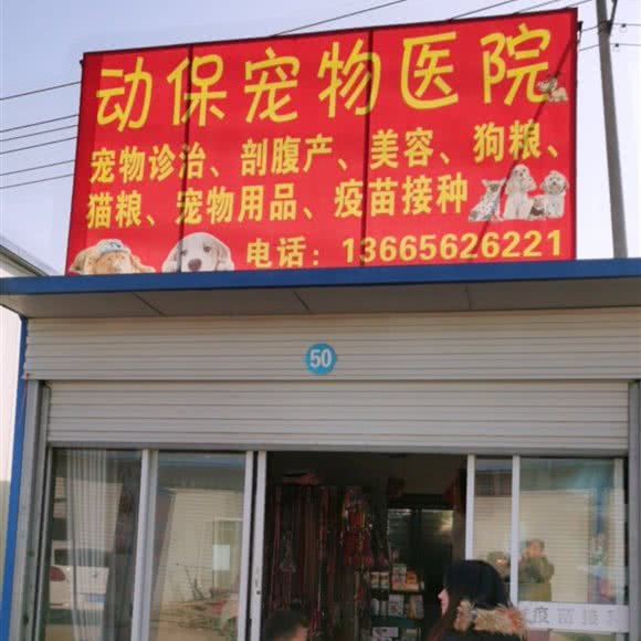 动保宠物医院:蚌埠市固镇县
