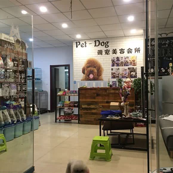 雪思嘉宠物店:运城市盐湖区体育馆附近