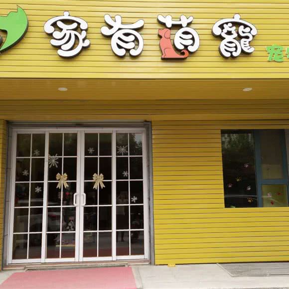 家有萌宠:运城市盐湖区体育馆附近