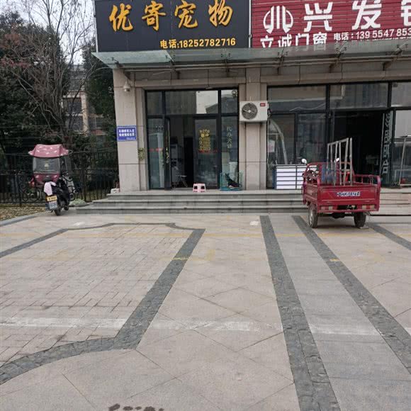 优寄宠物诊所:淮南市田家庵区