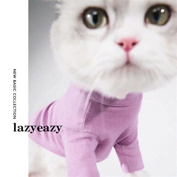 4八个1宠物店:运城市盐湖区体育馆附近