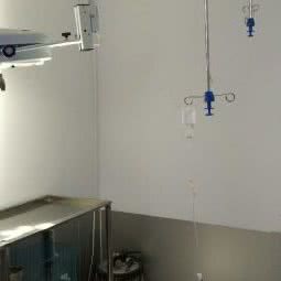 乐宠宠物诊所:运城市盐湖区体育馆附近