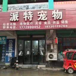 派特宠物:淮南市凤台县