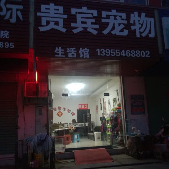 贵宾宠物:淮南市凤台县