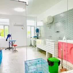 宠物先生宠物生活馆:马鞍山市含山县