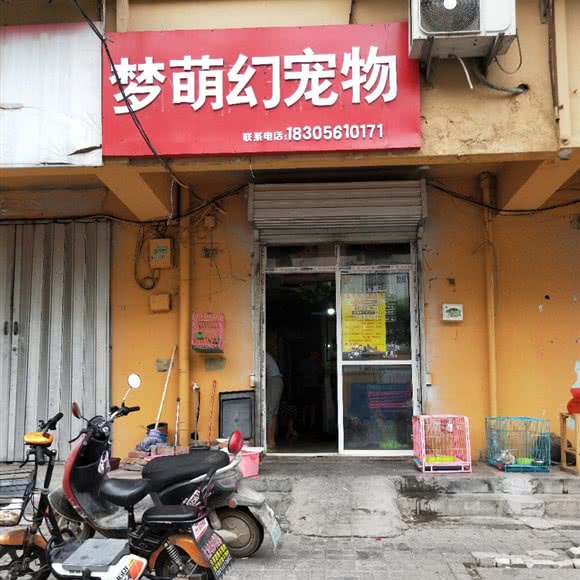 梦萌幻宠物:淮北市相山区
